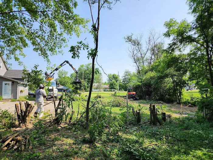 American Tree And Lawn Services Picture 8