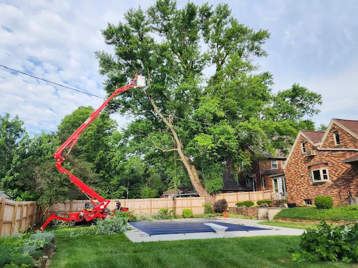American Tree And Lawn Services Picture 10