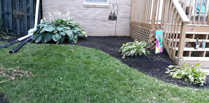 MVP Landscape Services LLC Picture 1