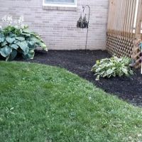 MVP Landscape Services LLC ico