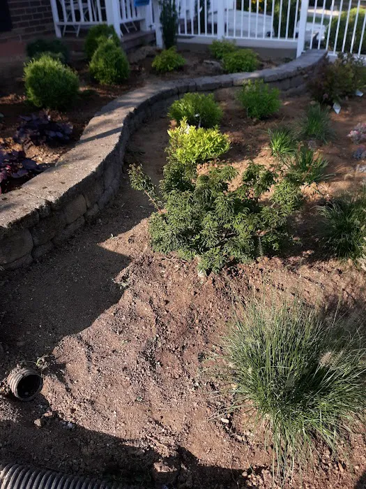 MVP Landscape Services LLC Picture 7