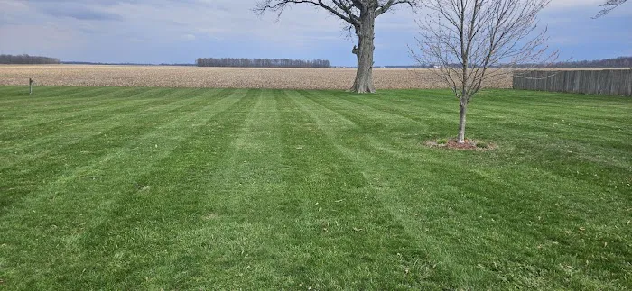 Fresh Start Lawn Service LLC Picture 8