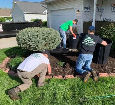 Niese Lawn Care & Landscaping, LLC Picture 6