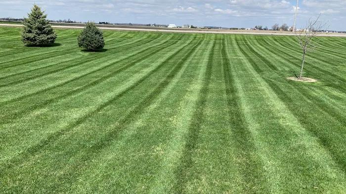 Niese Lawn Care & Landscaping, LLC Picture 9