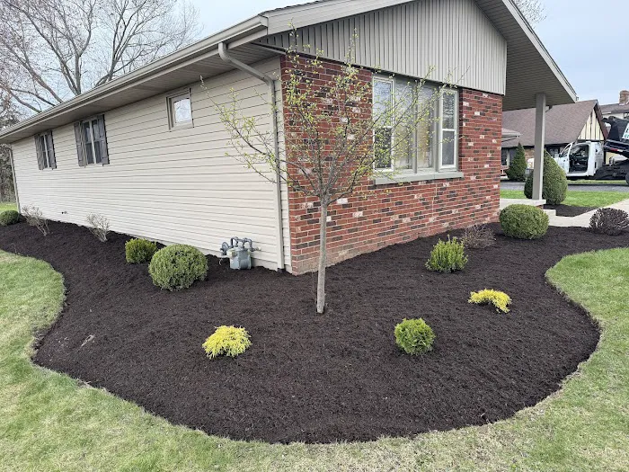Niese Lawn Care & Landscaping, LLC Picture 8