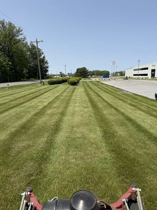 Niese Lawn Care & Landscaping, LLC Picture 4