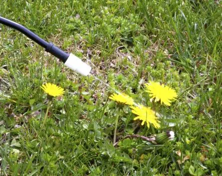Niese Lawn Care & Landscaping, LLC Picture 2