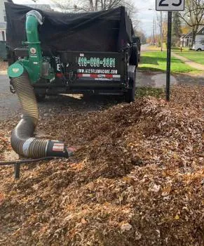 Niese Lawn Care & Landscaping, LLC Picture 1