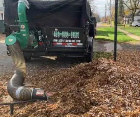 Niese Lawn Care & Landscaping, LLC