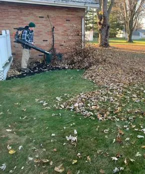 Niese Lawn Care & Landscaping, LLC Picture 5