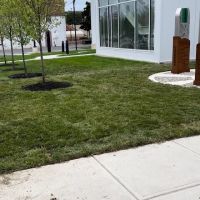 Drew's Landscaping ico
