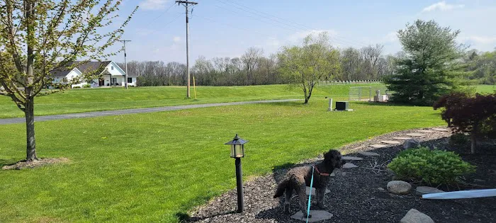 TruGreen Lawn Care Picture 8