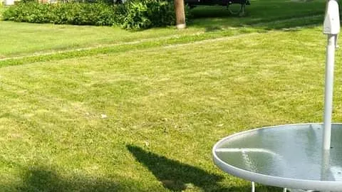 J&M Lawn Care Service Picture 2
