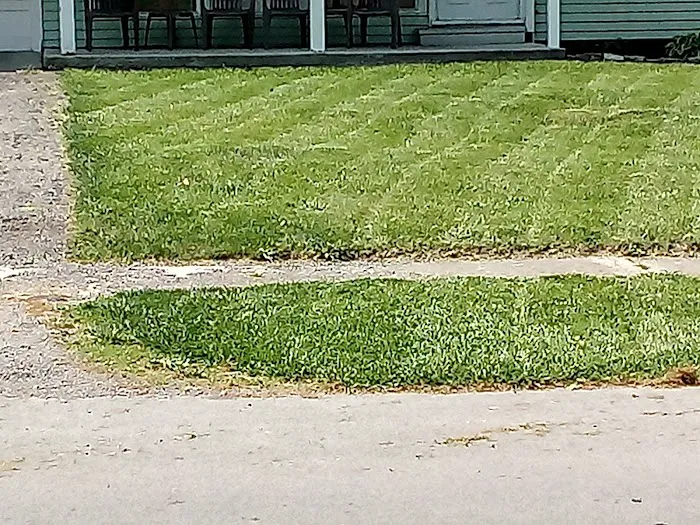 J&M Lawn Care Service Picture 7