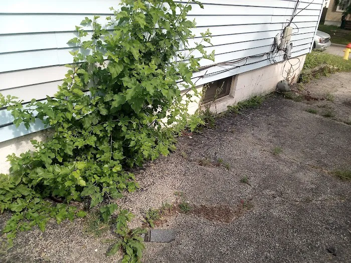 J&M Lawn Care Service Picture 6