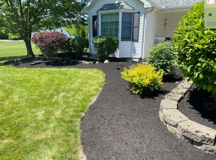 Pleasant View Lawn and Landscaping Picture 8