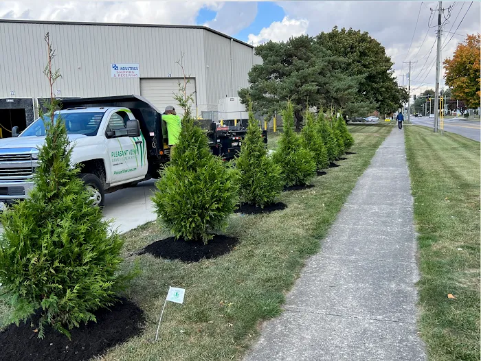 Pleasant View Lawn and Landscaping Picture 2