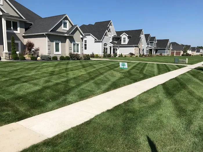 Greener Results LLC Picture 9