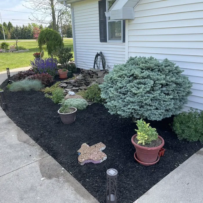 Prestige Landscaping & Services Picture 1