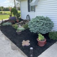 Prestige Landscaping & Services ico