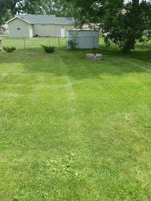 T&K Lawn Care Picture 4