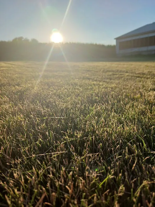 T&K Lawn Care Picture 3