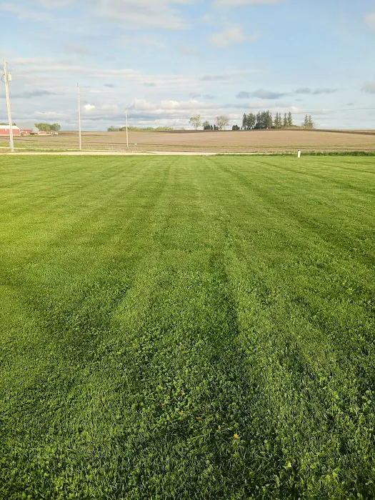 T&K Lawn Care Picture 5