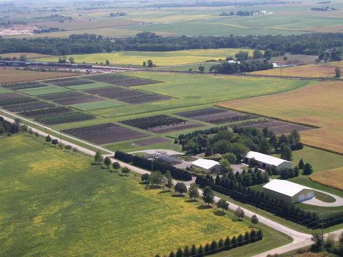 Hughes Nursery and Landscaping Picture 4