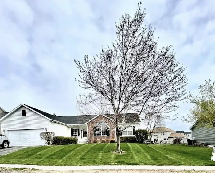 Willems Lawn & Landscape Picture 1