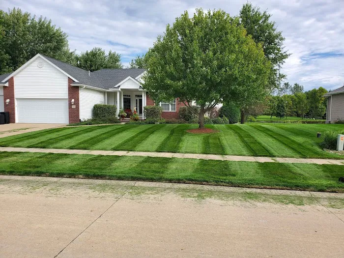 Trier's Lawn & Landscaping Picture 2