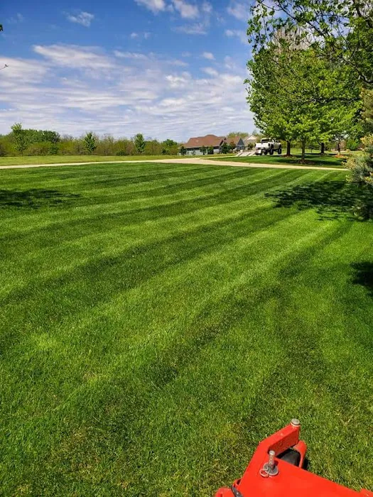Trier's Lawn & Landscaping Picture 1
