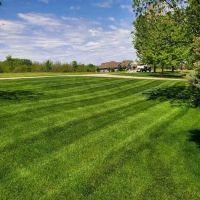 Trier's Lawn & Landscaping ico