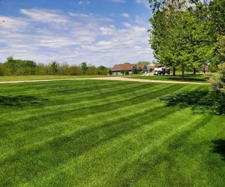Trier's Lawn & Landscaping