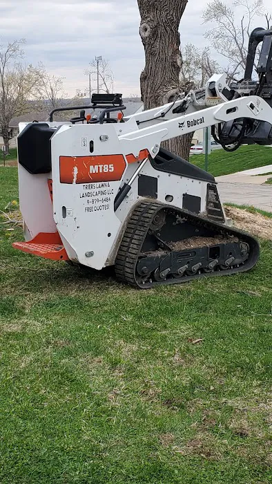 Trier's Lawn & Landscaping Picture 4