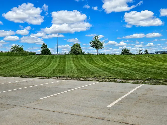 Terrace Landscaping Picture 1