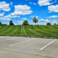 Terrace Landscaping ico