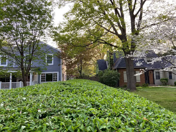 Guild Lawn & Landscaping Picture 3
