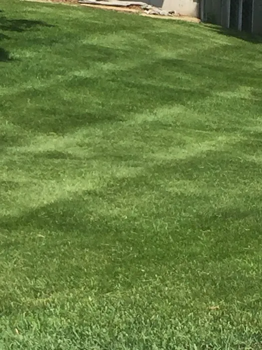MowJoe Lawn and Landscape Picture 8