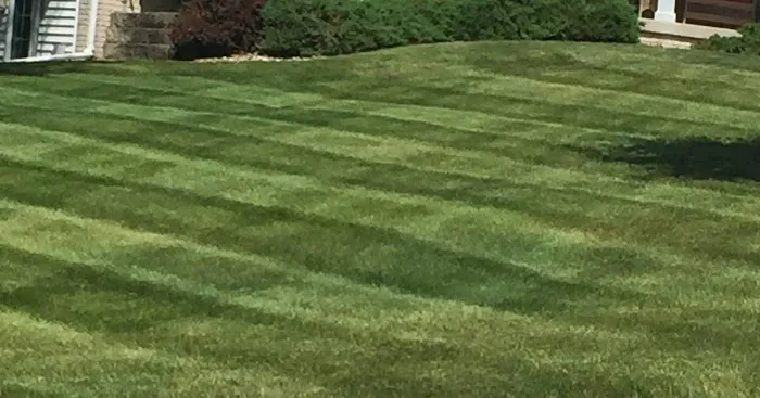 MowJoe Lawn and Landscape Picture 6