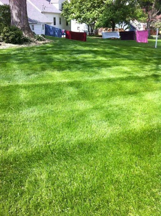 MowJoe Lawn and Landscape Picture 5