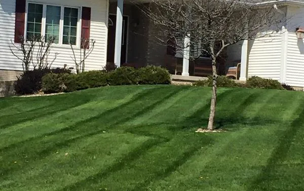 MowJoe Lawn and Landscape Picture 2