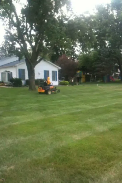 MowJoe Lawn and Landscape Picture 1