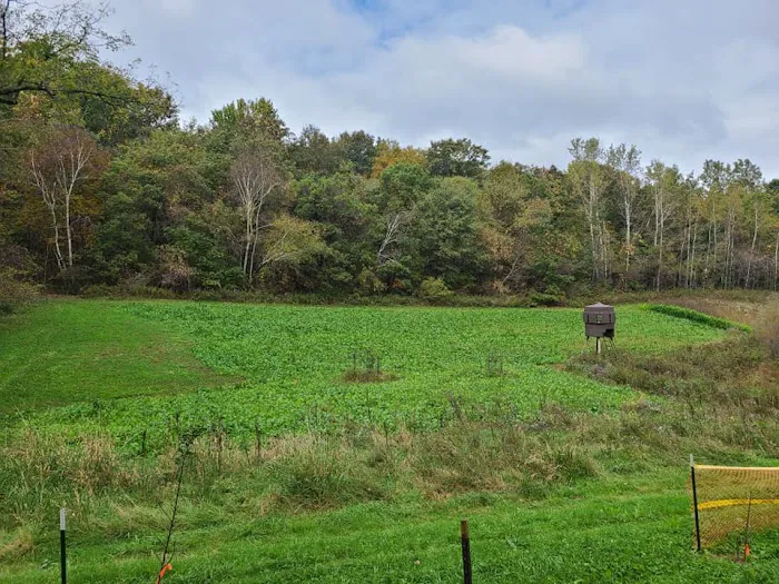 Bettis LandWorks, LLC Picture 9