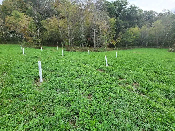 Bettis LandWorks, LLC Picture 5