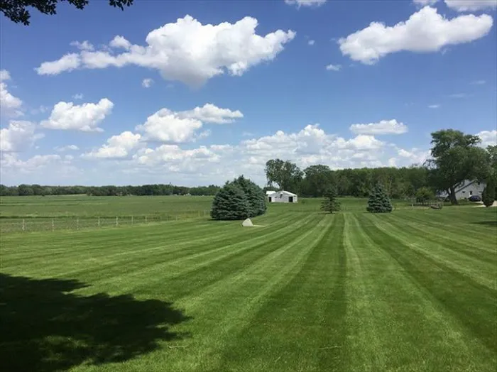 Scheel's Professional Lawn Care Picture 6