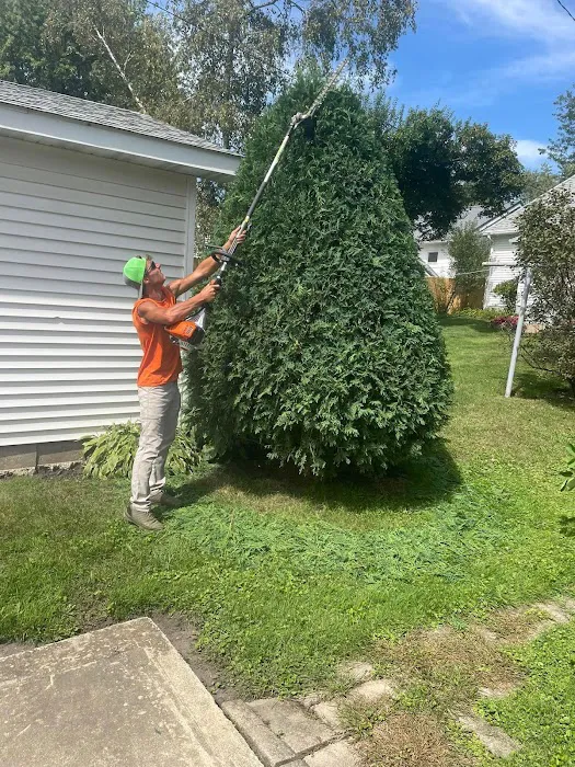 Scheel's Professional Lawn Care Picture 10
