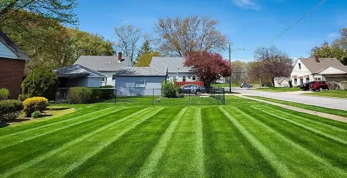 Smart Lawn Care Solutions LLC Picture 4