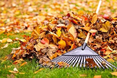 Smart Lawn Care Solutions LLC Picture 1