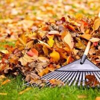 Smart Lawn Care Solutions LLC ico