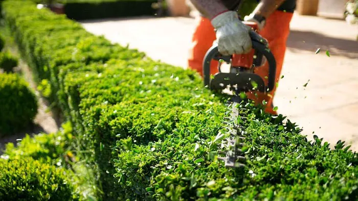 Smart Lawn Care Solutions LLC Picture 2
